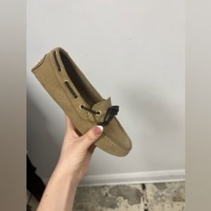 Nib Studio Pollini Shoes